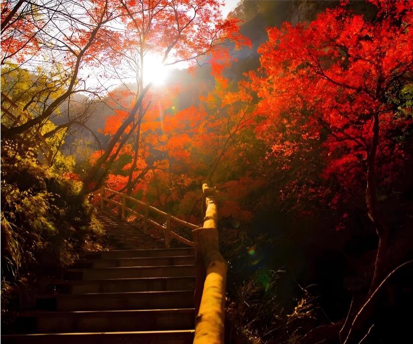 西安半小时直达!太平峪顺线打卡,彩林瀑布一路美到心醉